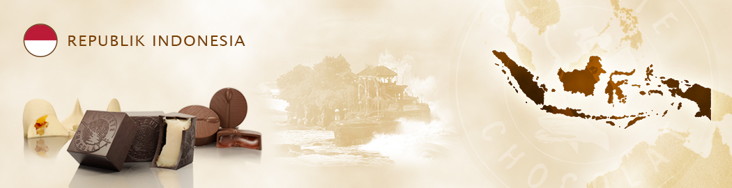 banner livraison Indonesie