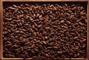 Superieure kwaliteit cacaobonen van Planète Chocolat